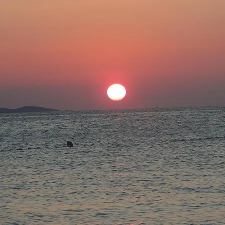 Apartment Stipe Bibinje