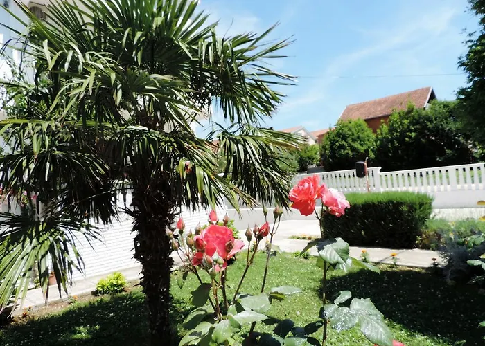 Stipe * Бибинье